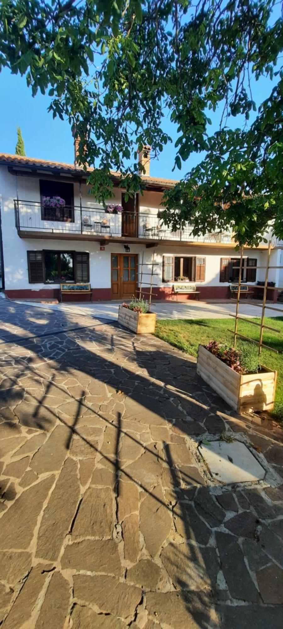 Apartma Brina 3 Sezana ภายนอก รูปภาพ